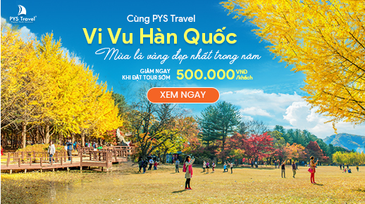 Chùm tour Hàn Quốc mùa thu vàng 2024