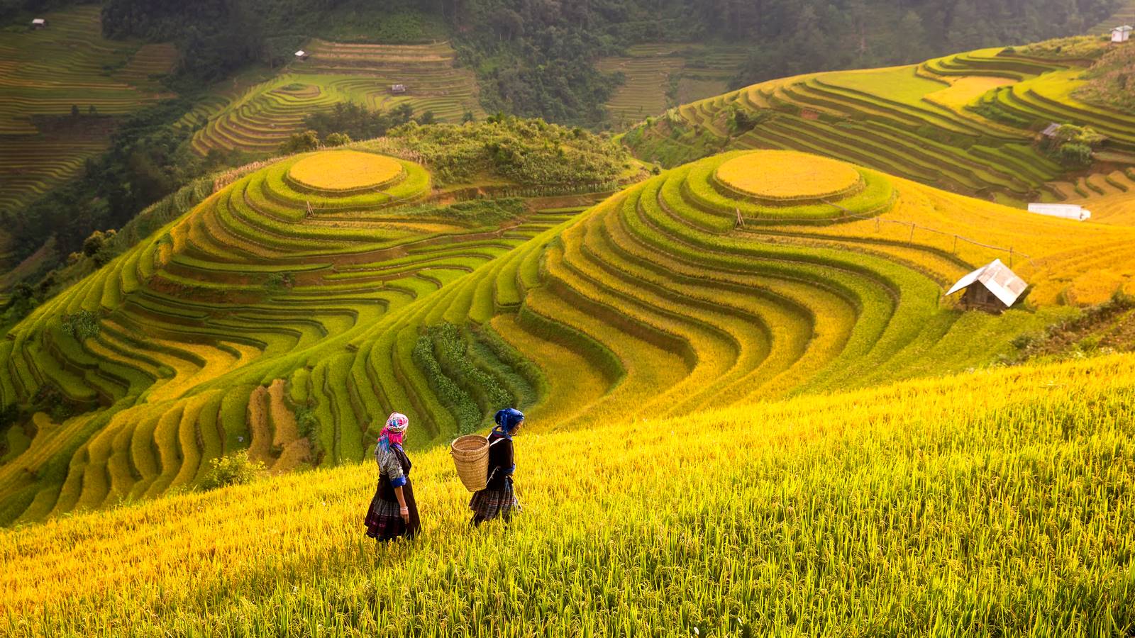 pystravel.vn